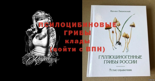 mdpv Кинешма