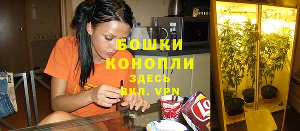 mdpv Кинешма