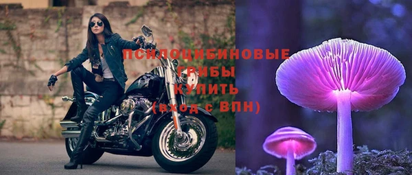 mdpv Кинешма