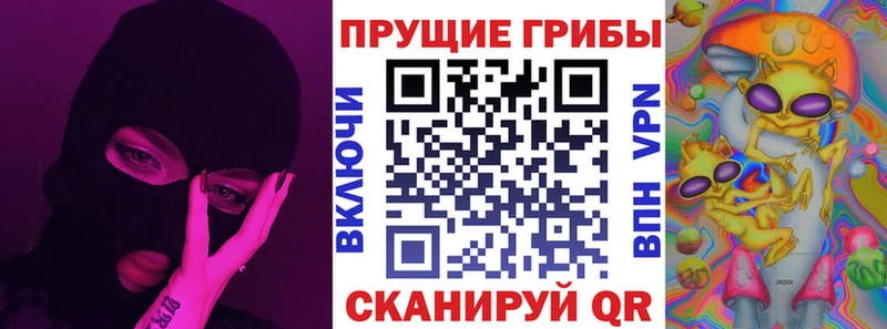 Псилоцибиновые грибы мицелий Купить где Балтийск